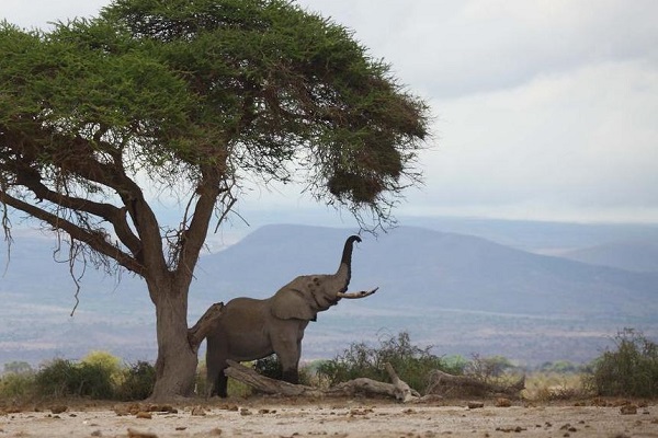 Lake Kivu Relaxation